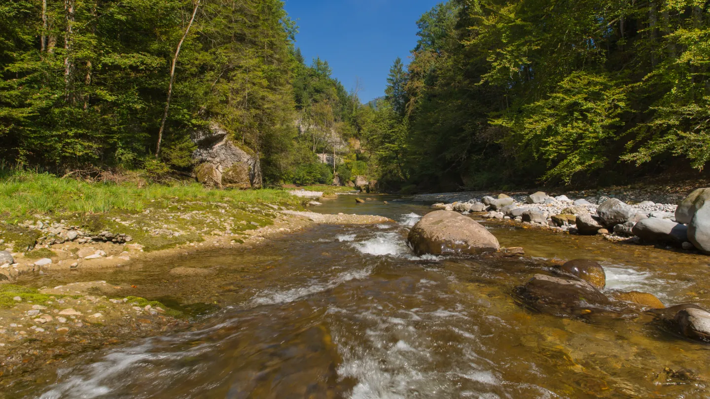 Schweizer Fluss Necker