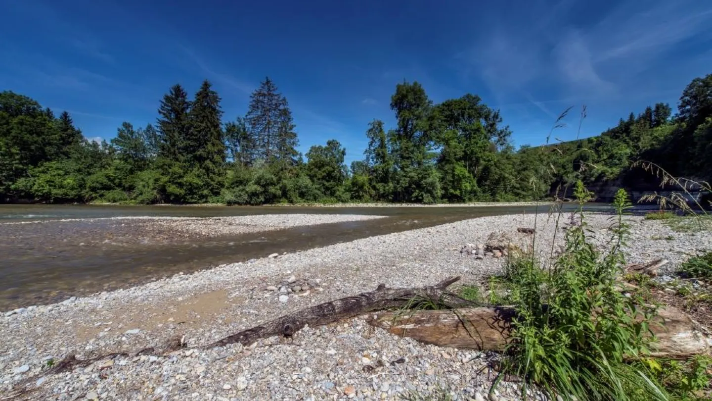 Schweizer Fluss Necker