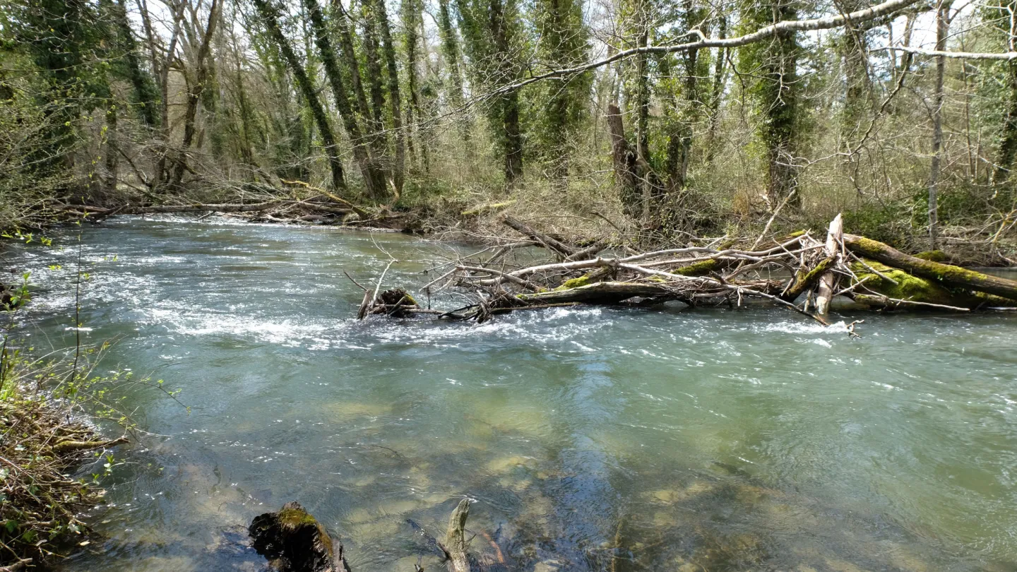 Schweizer Fluss Versoix