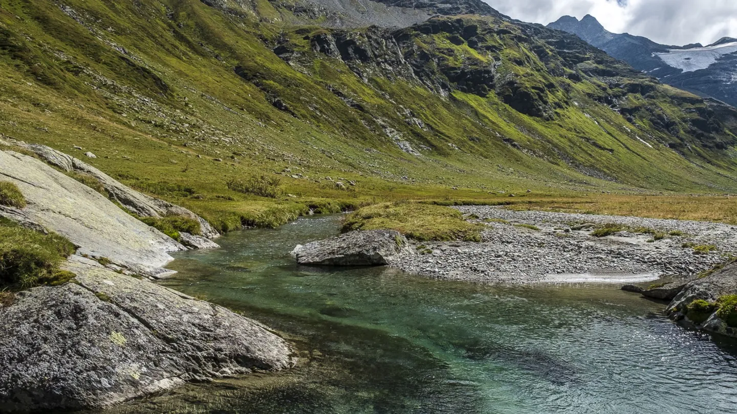 Der Areuabach fliesst durch das Val Curciusa