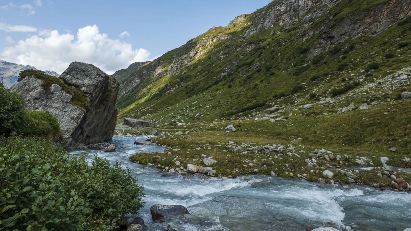 Der Alpenfluss Aua da Fedoz