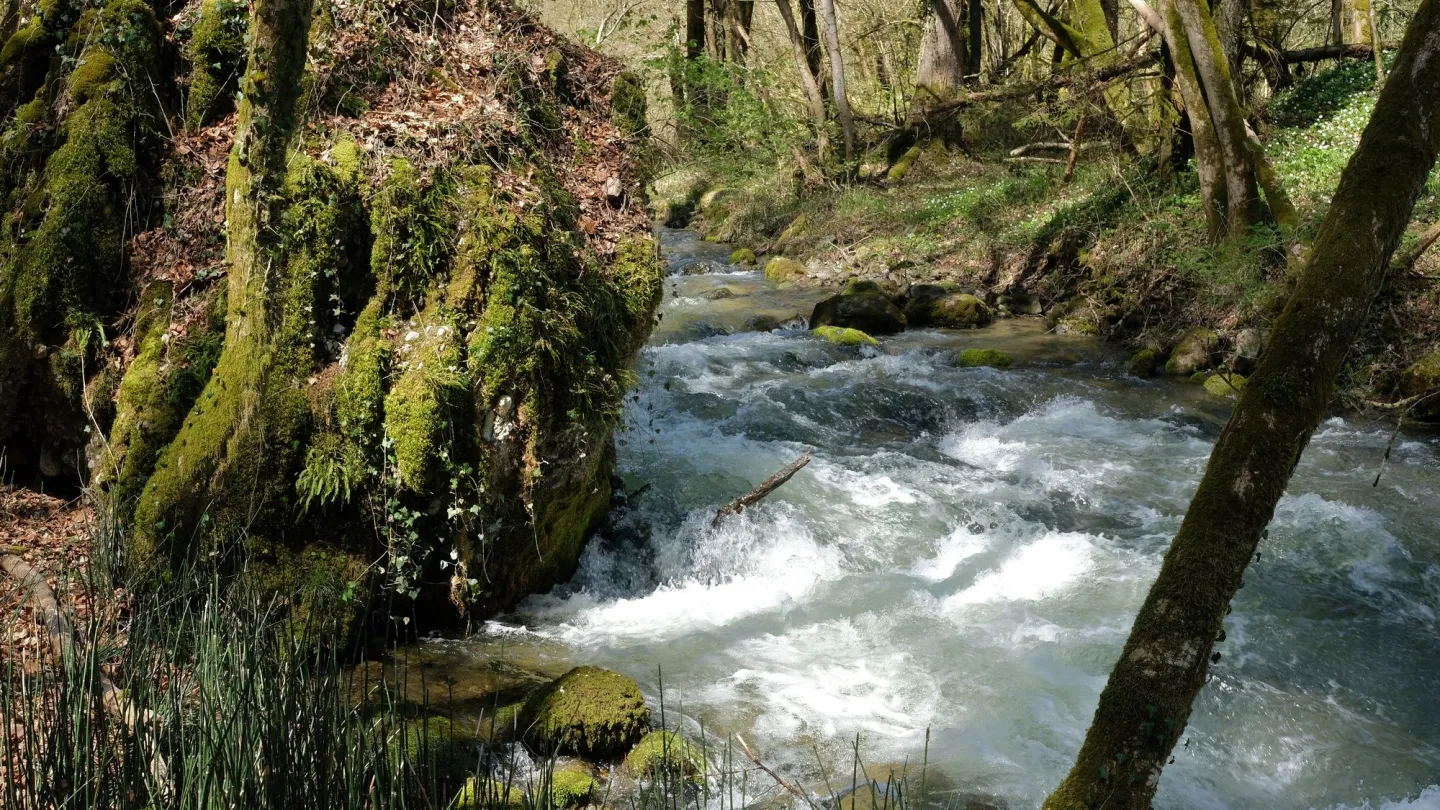 Die Aubonne fliesst durch eine verwunschene Landschaft