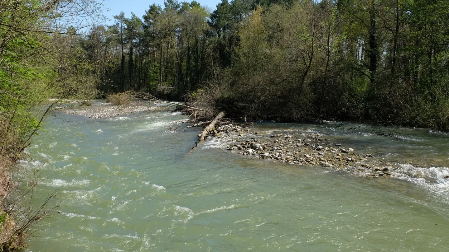 Die Aubonne wird in der Extraschlaufe zu einem breiten Fluss