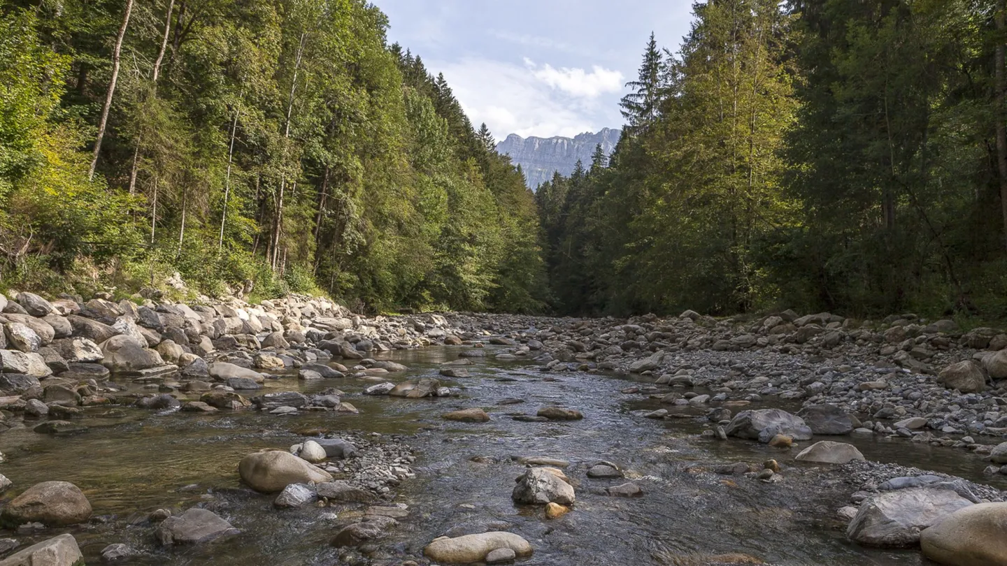 Sicht entlang der Emme