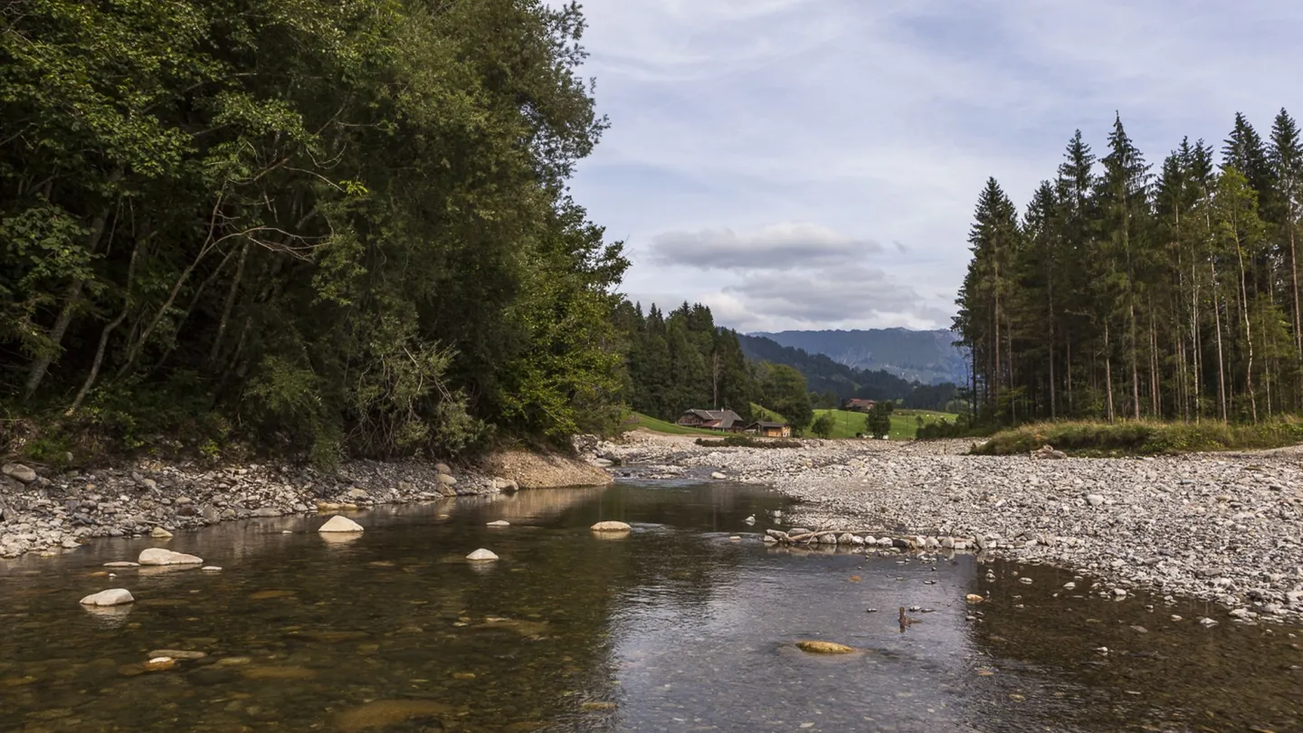 Kiesstrände entlang der Emme