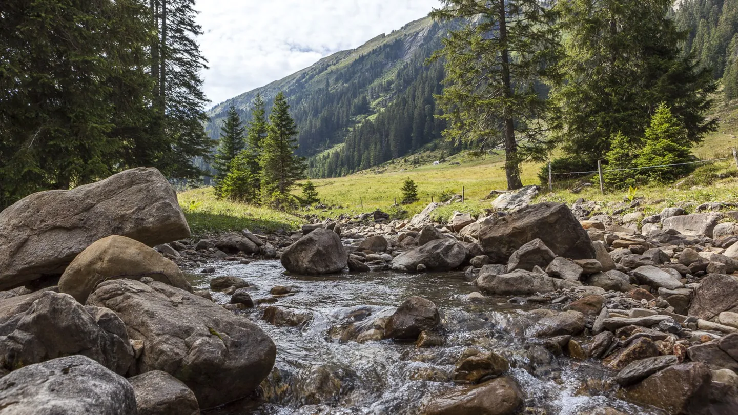 Die Entlen fliesst durch die Landschaft