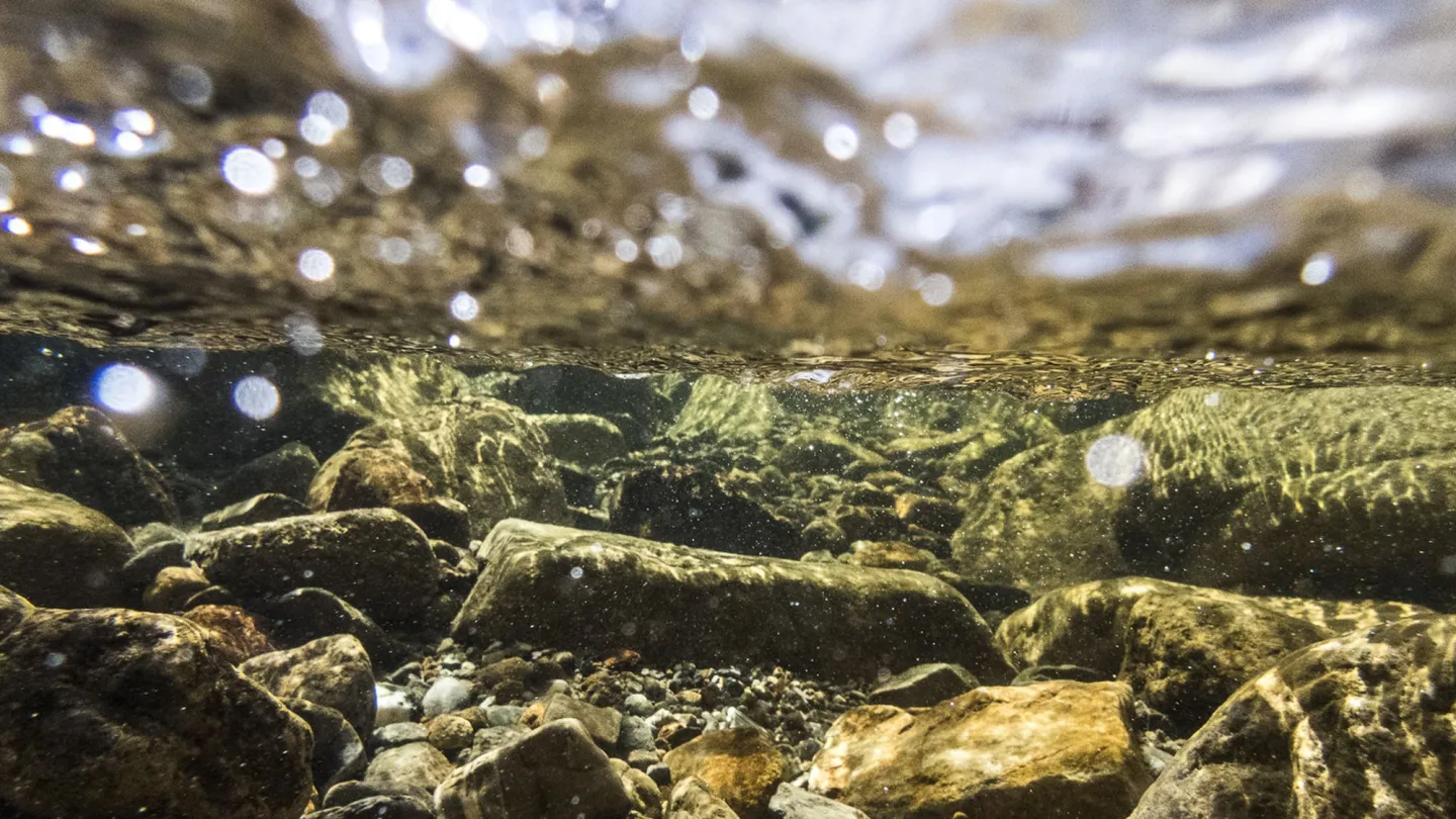 Unterwassersicht der Entlen