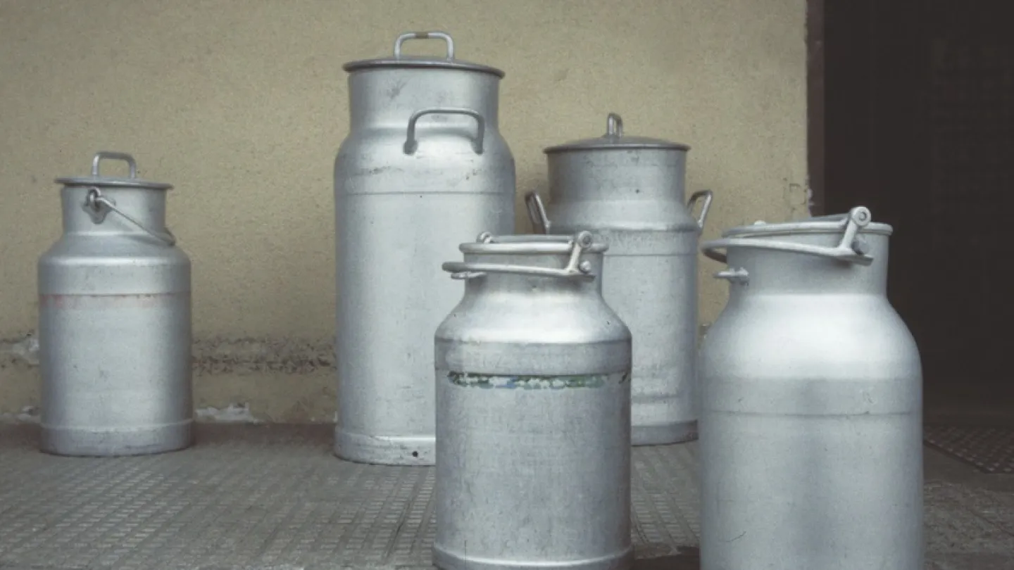 Milchproduktion belastet als landwirtschaftlicher Produktionszweig die Umwelt stark