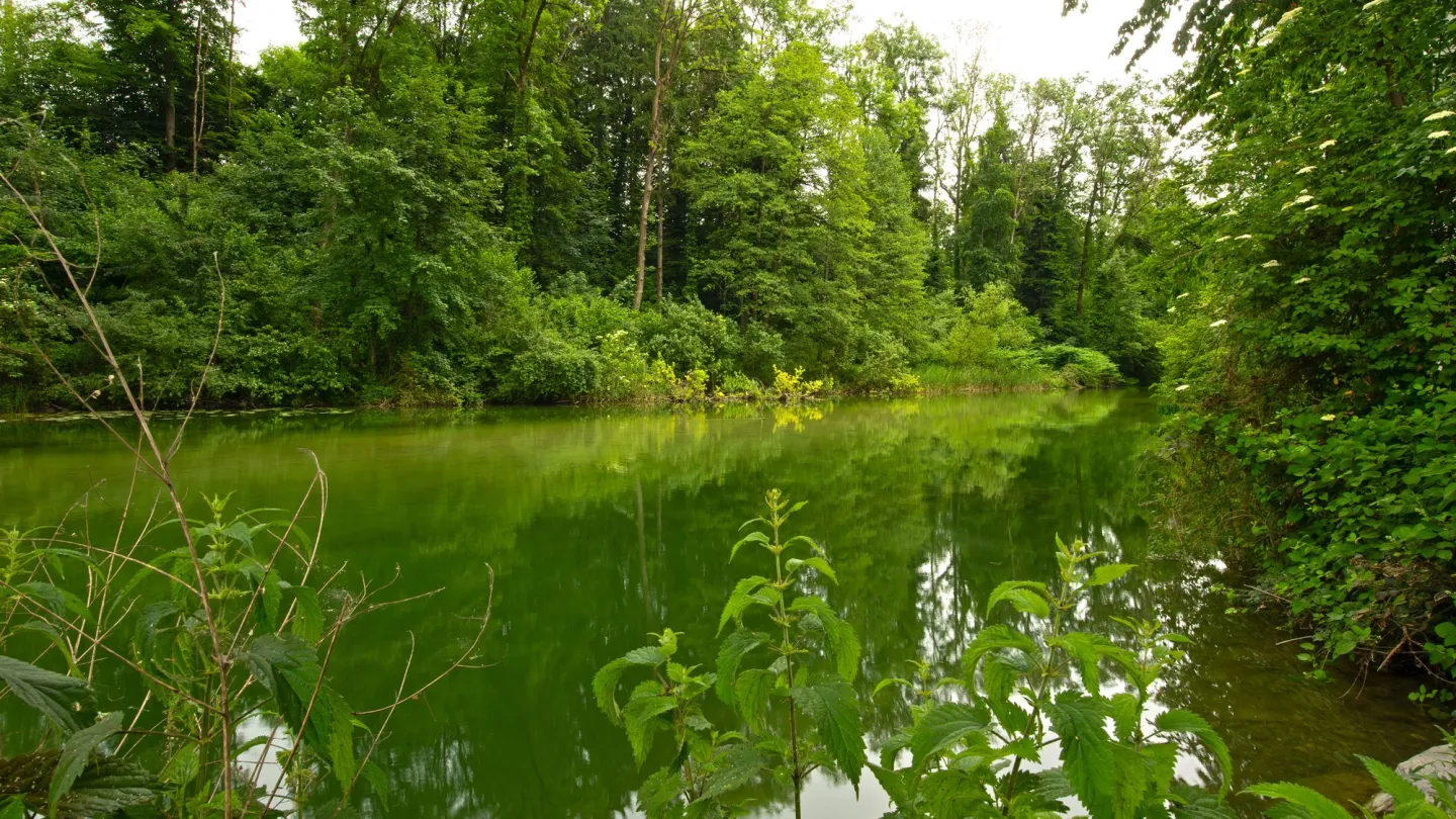 Lorze im Kanton Zug