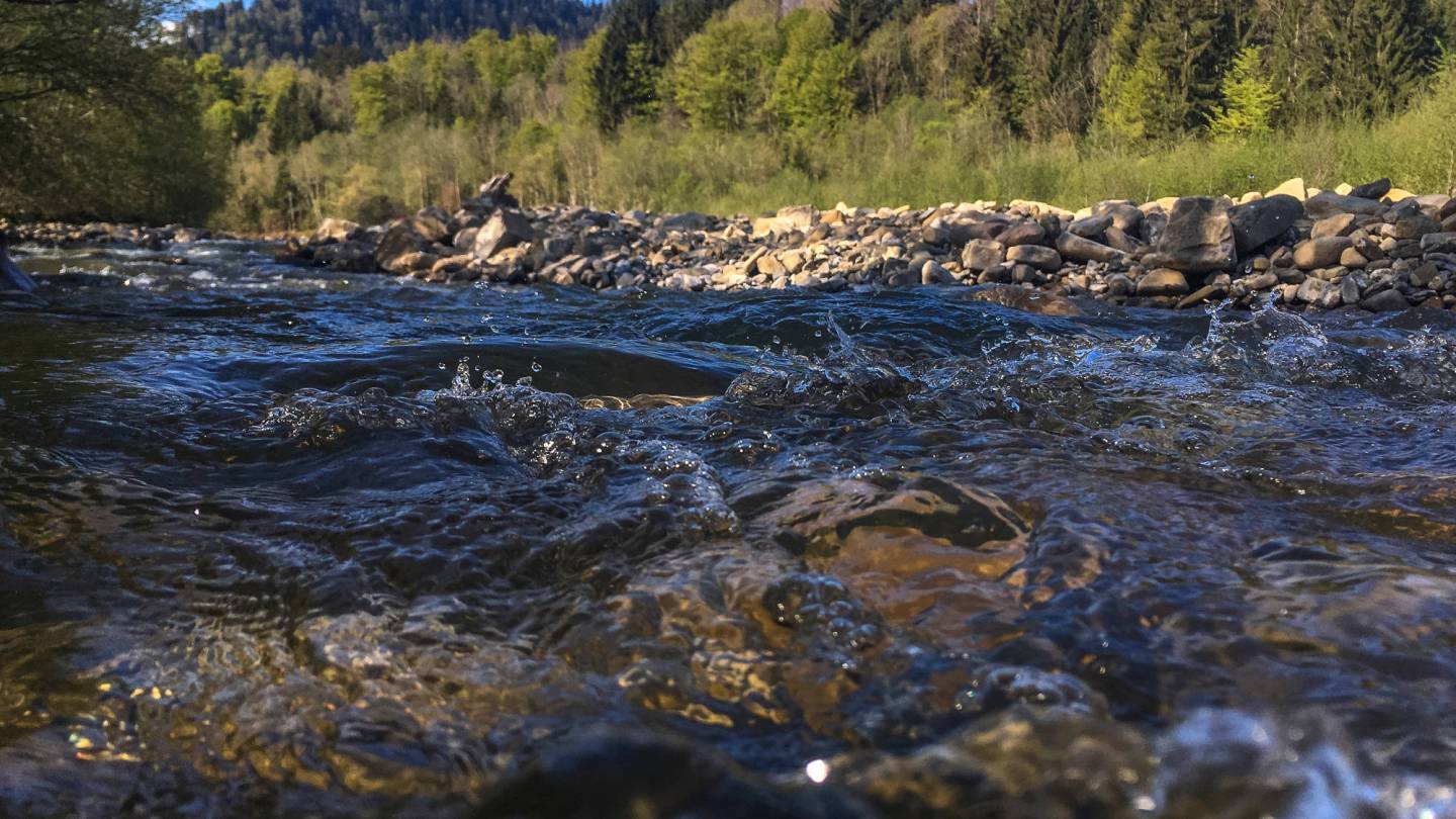 Die Gérine ist ein dynamischer Fluss mit vielen Verzweigungen.