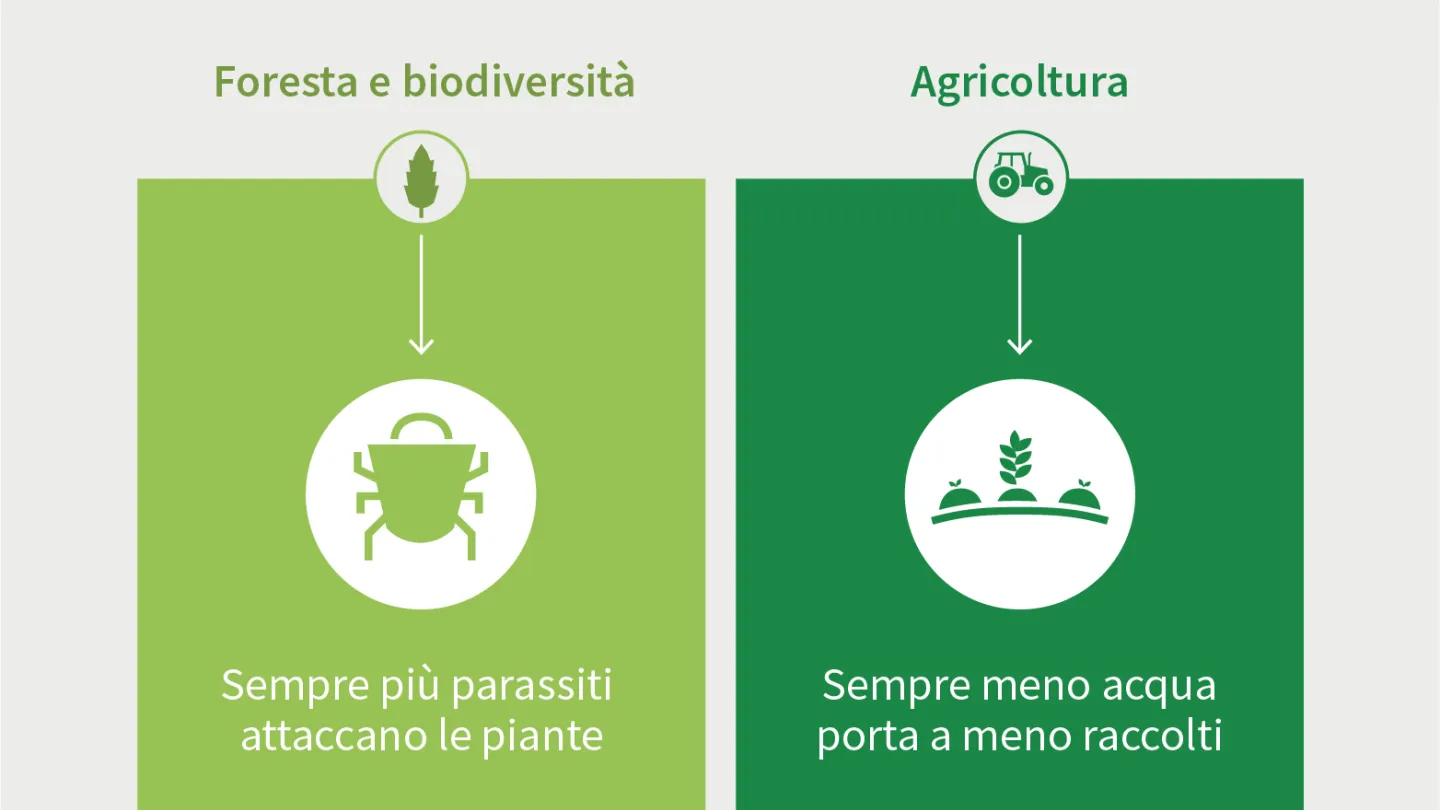 Infografik Hitzesommer Slide 3