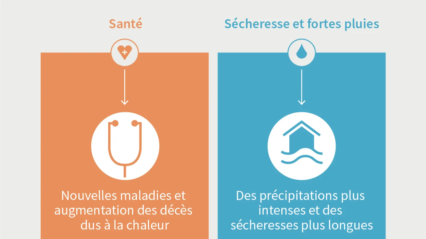 Infografik Hitzesommer Slide 2