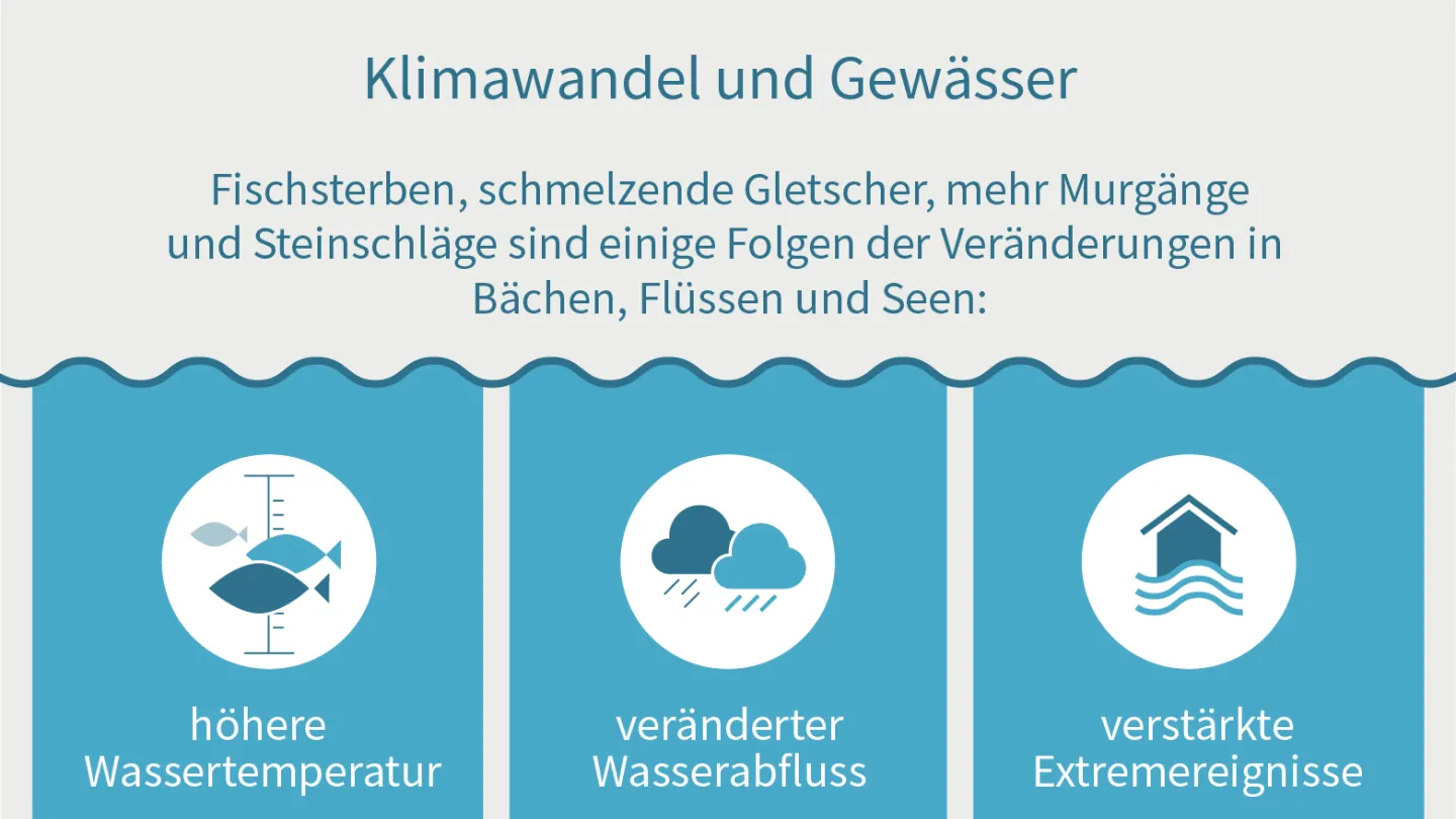 Hitzesommer Infographik Slide 1