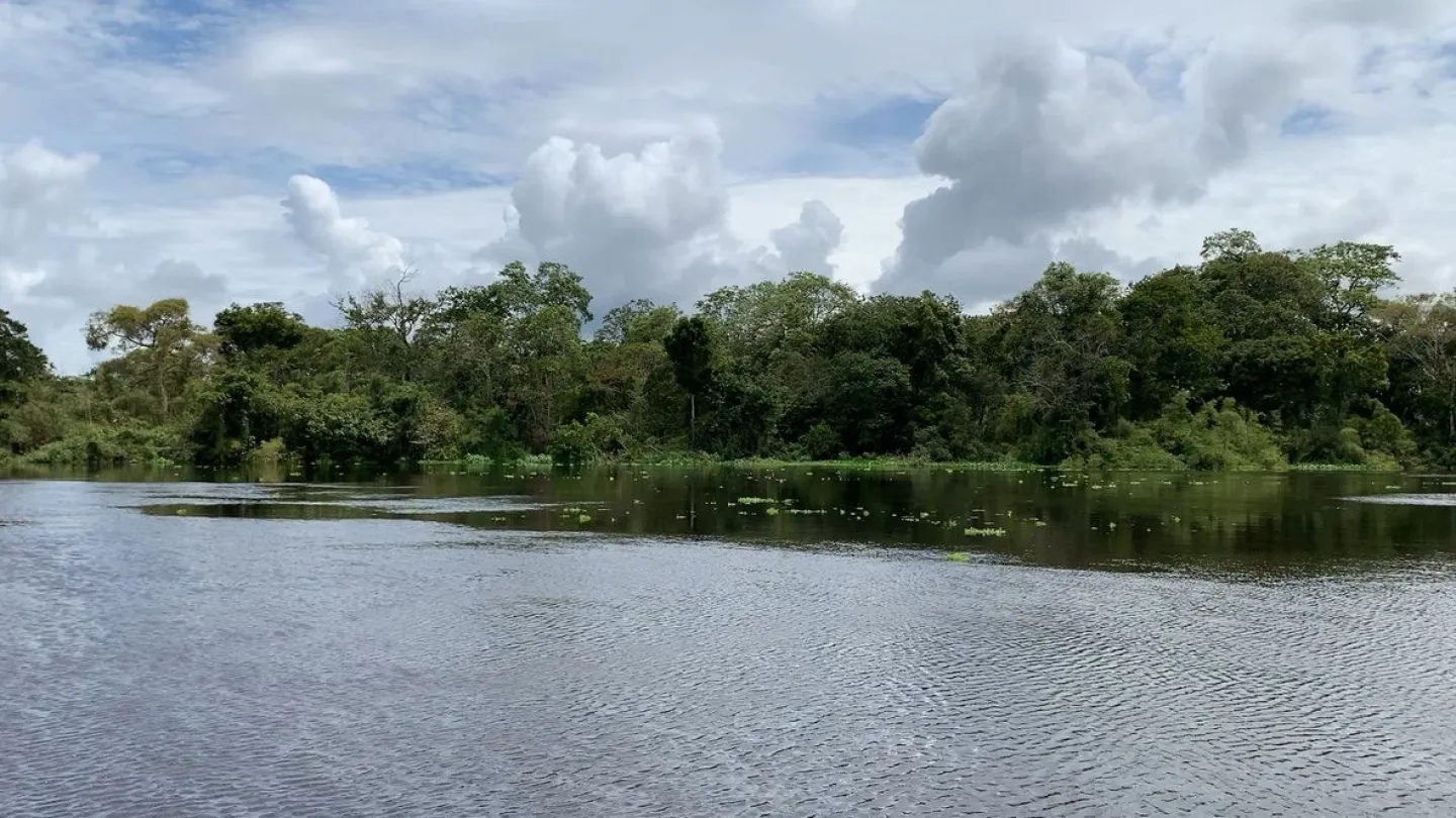 Fluss in Itenez, Amazonas