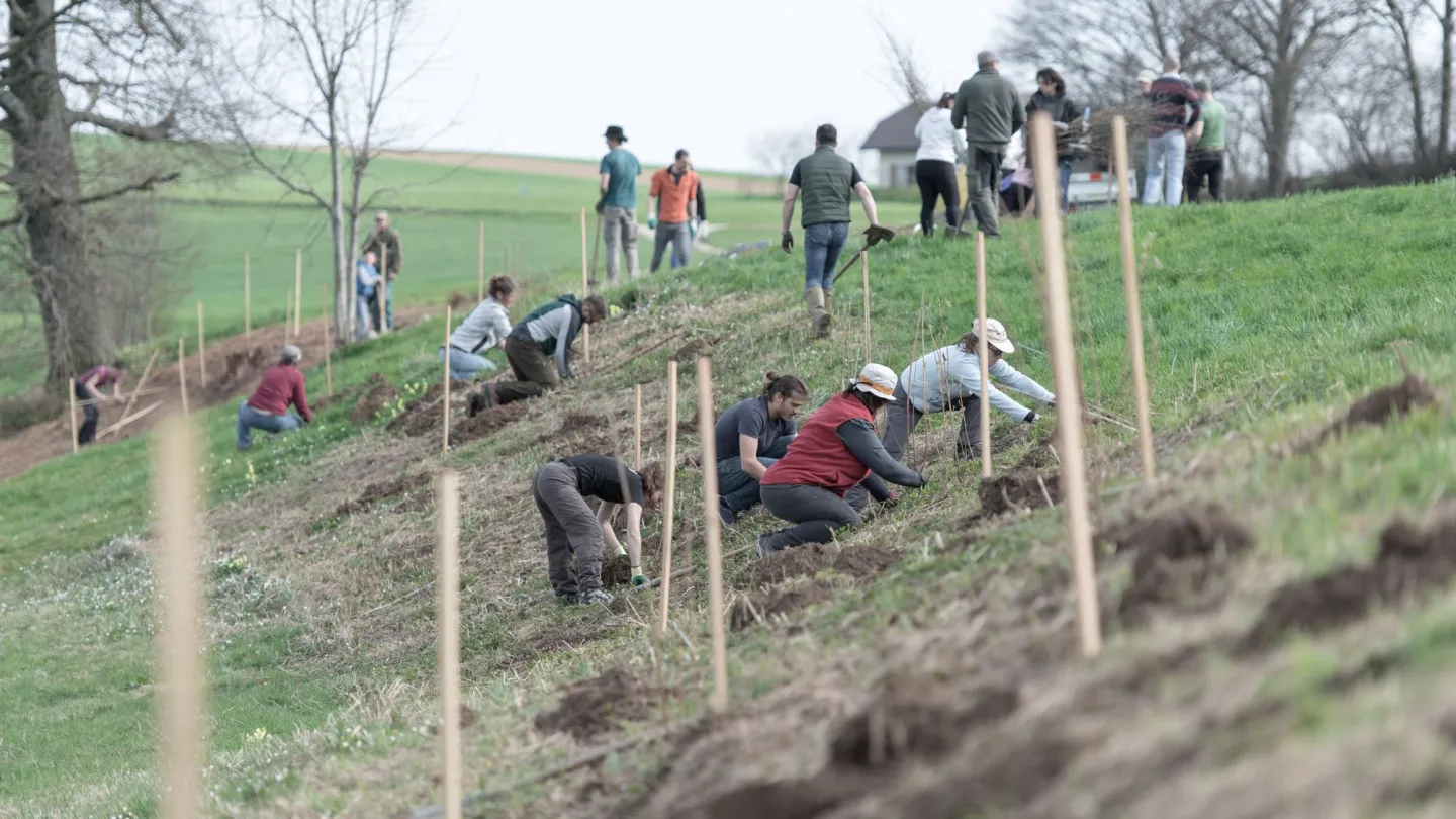 Freiwilligeneinsatz beim Projekt "Natur verbindet"