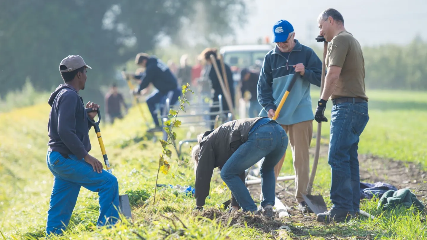 Freiwillige bei Connexions Naturelles