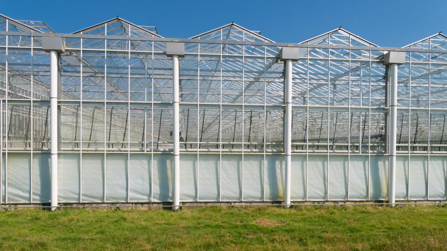 Gewächshäuser 