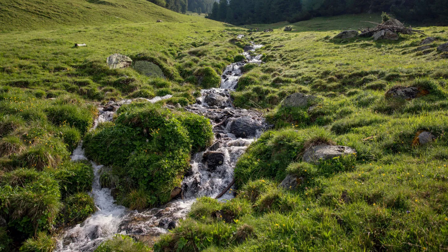 Der Fluss Clemgia