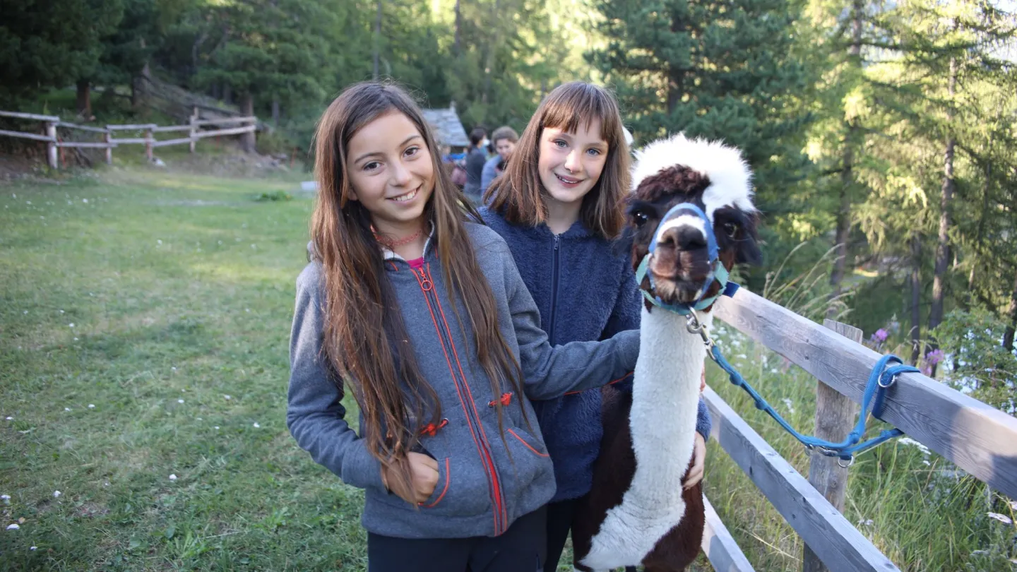 Zwei Mädchen mit einem Lama auf der Wanderung, Schweiz.