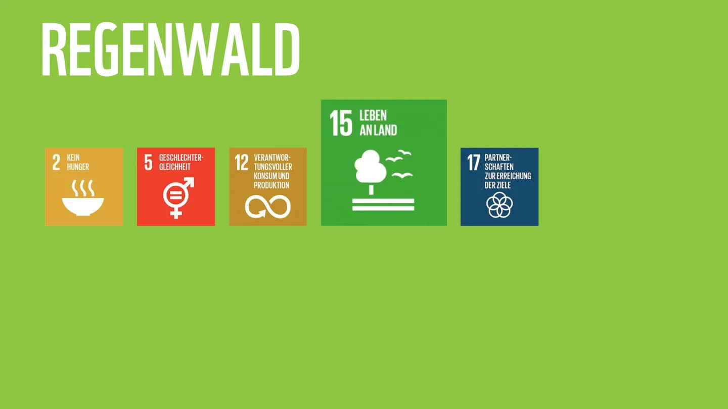 Wie die WWF-Ziele zu den SDGs der Uno beitragen