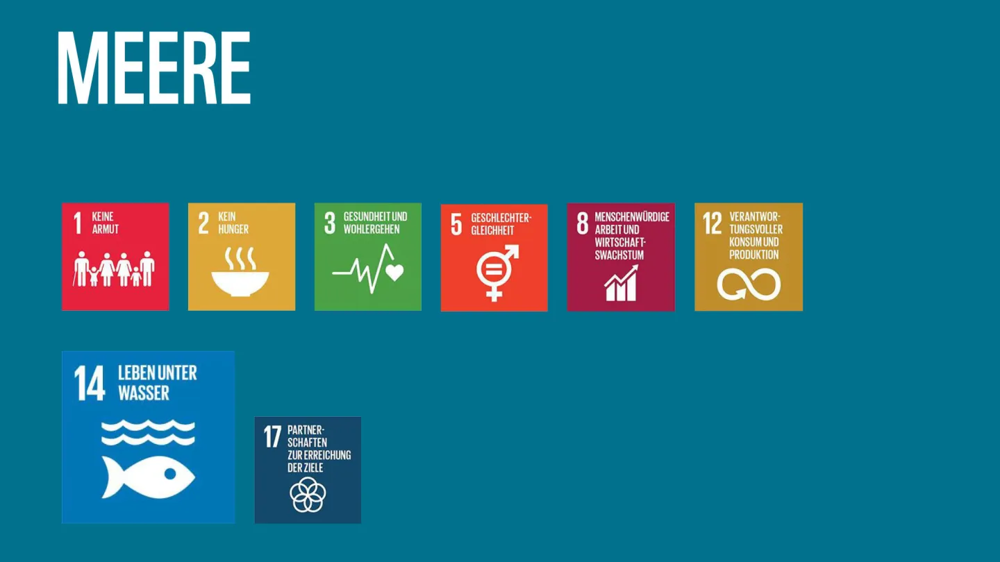 Wie die WWF-Ziele zu den SDGs der Uno beitragen