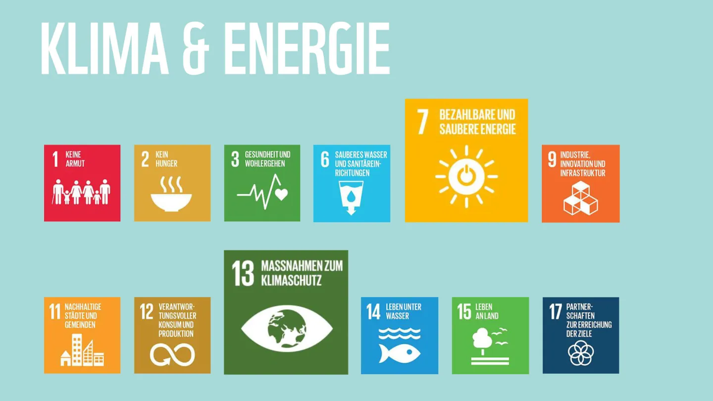 Wie die WWF-Ziele zu den SDGs der Uno beitragen