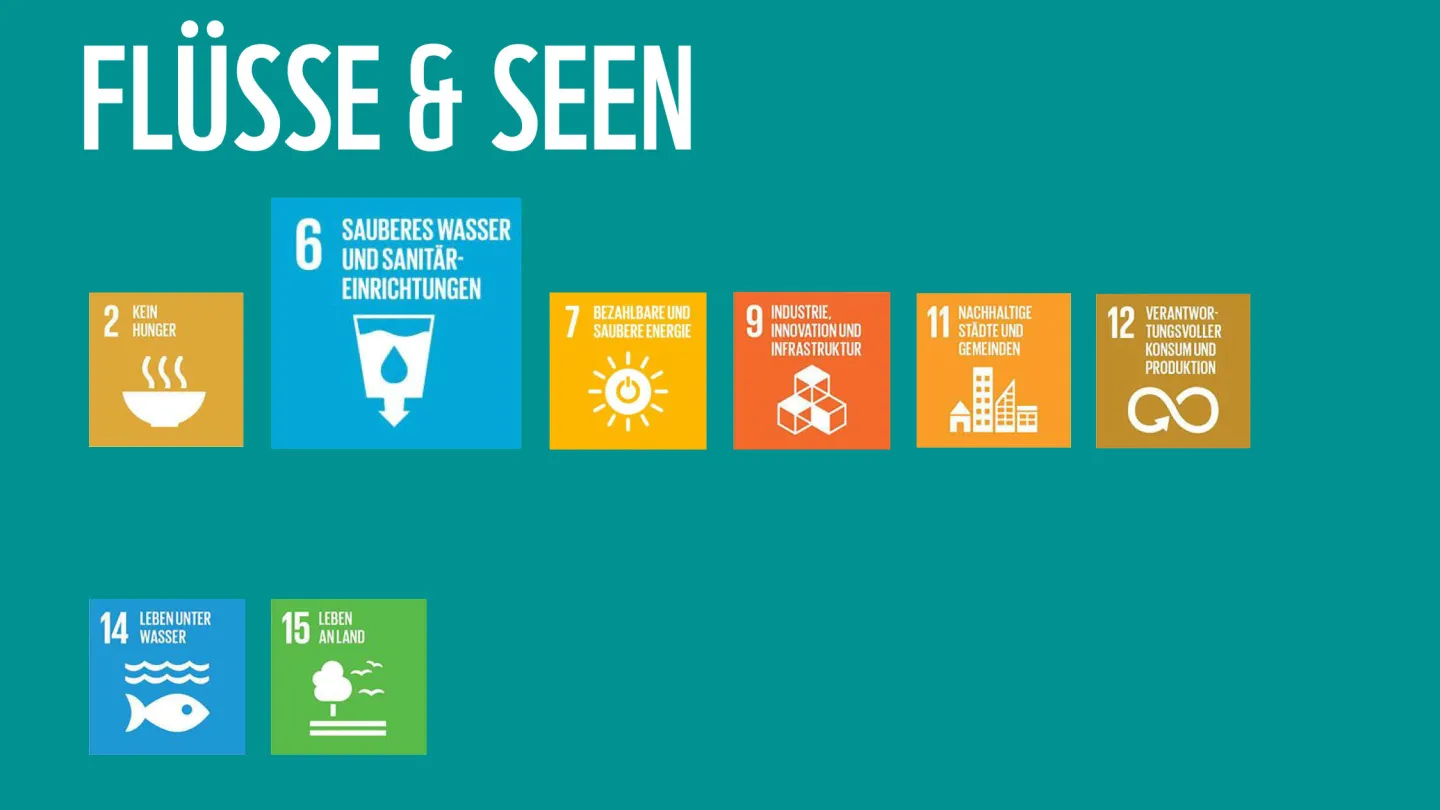 Wie die WWF-Ziele zu den SDGs der Uno beitragen