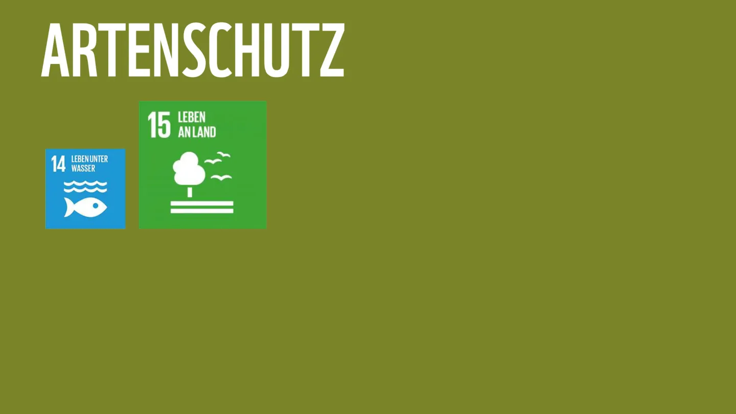 Wie die WWF-Ziele zu den SDGs der Uno beitragen