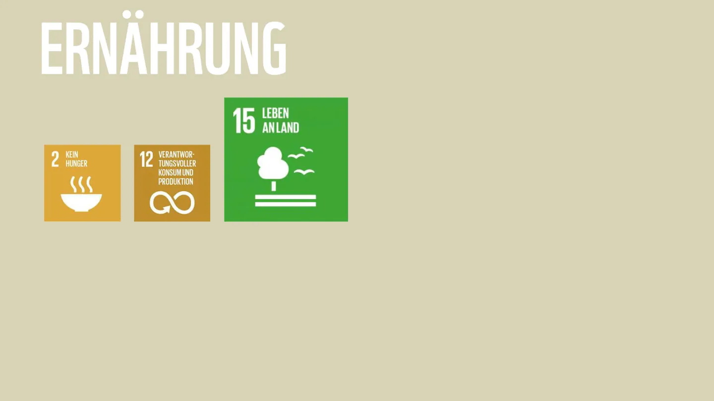 Wie die WWF-Ziele zu den SDGs der Uno beitragen