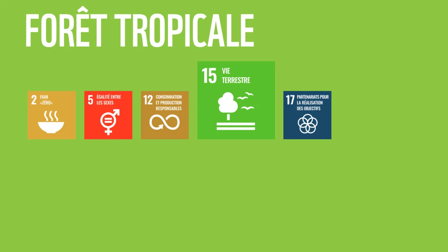 Wie die WWF-Ziele zu den SDGs der Uno beitragen