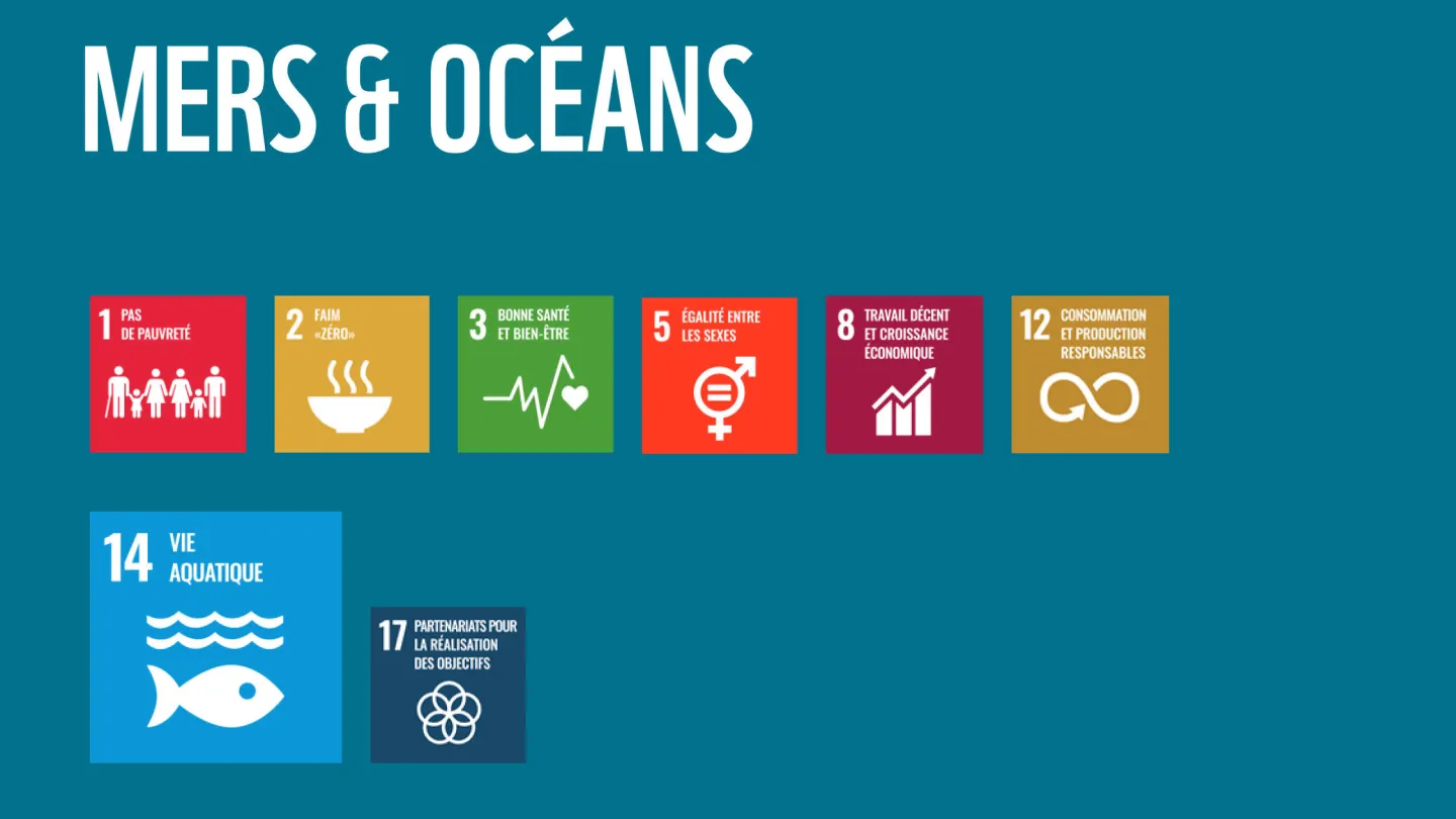 Wie die WWF-Ziele zu den SDGs der Uno beitragen