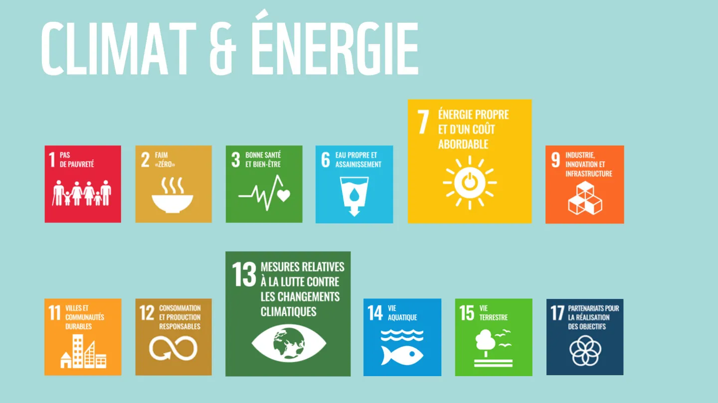 Wie die WWF-Ziele zu den SDGs der Uno beitragen
