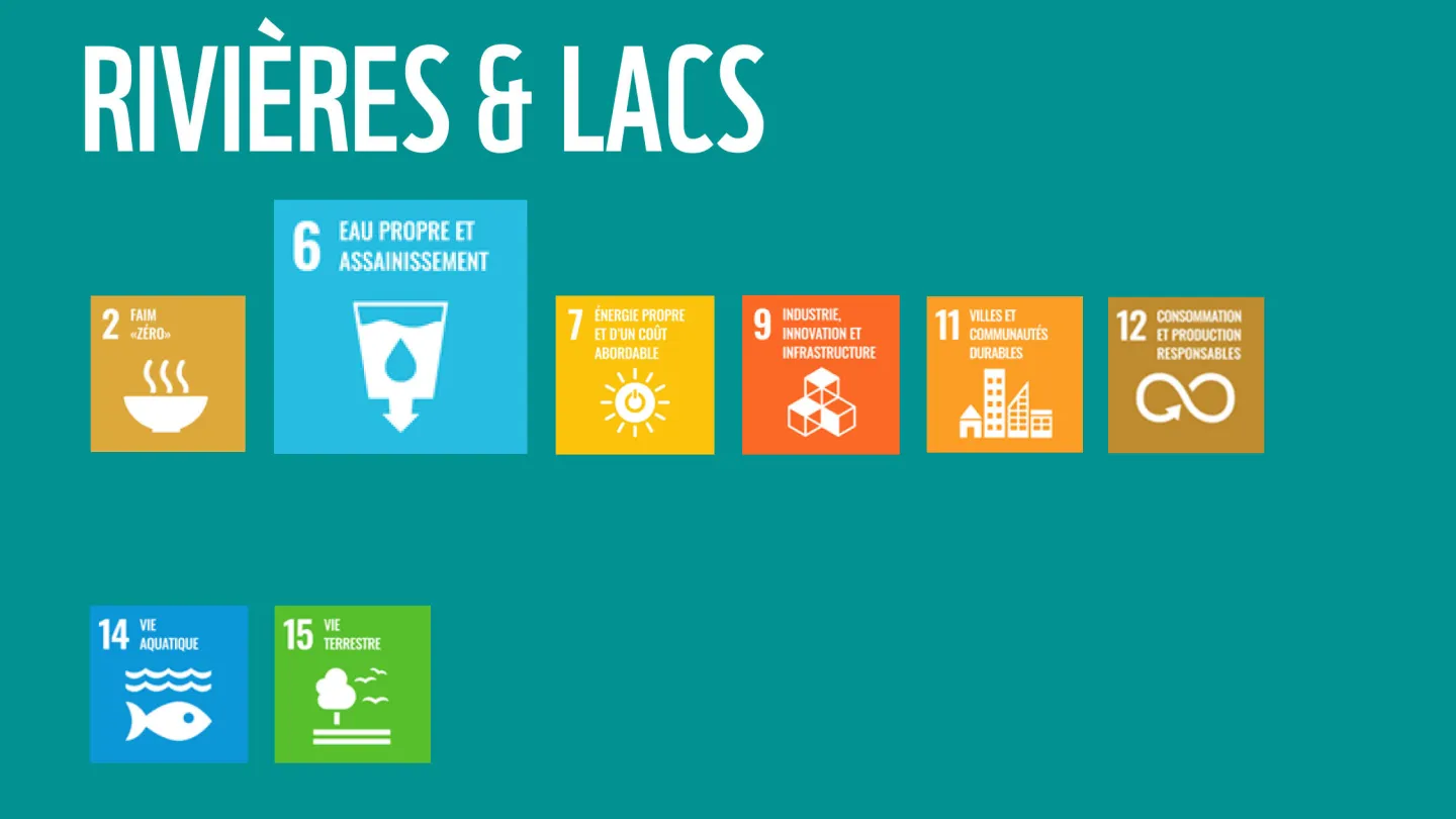 Wie die WWF-Ziele zu den SDGs der Uno beitragen