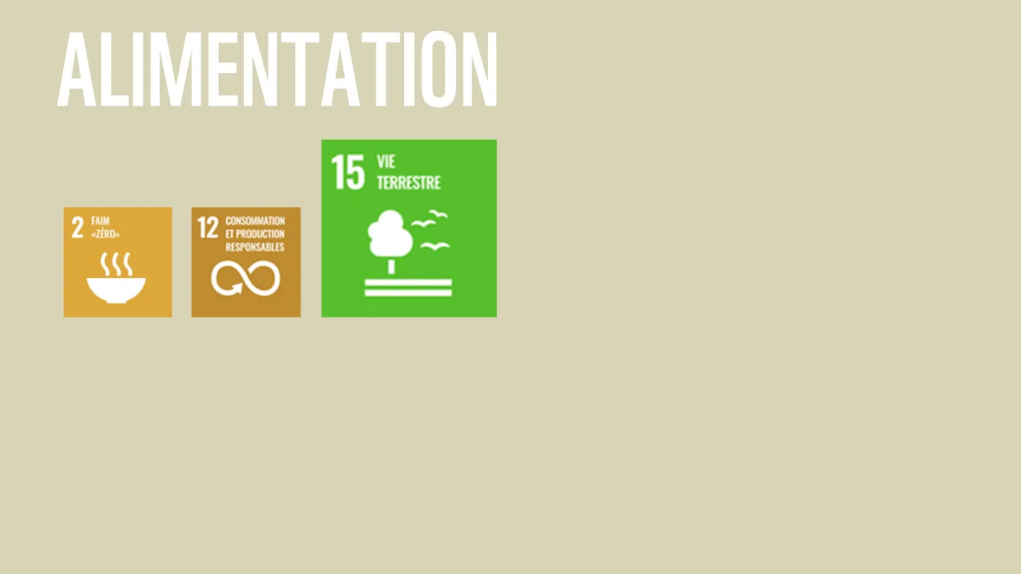 Wie die WWF-Ziele zu den SDGs der Uno beitragen