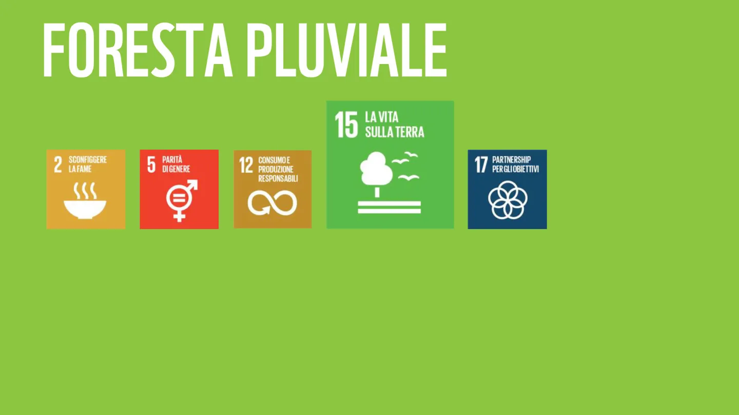 Wie die WWF-Ziele zu den SDGs der Uno beitragen