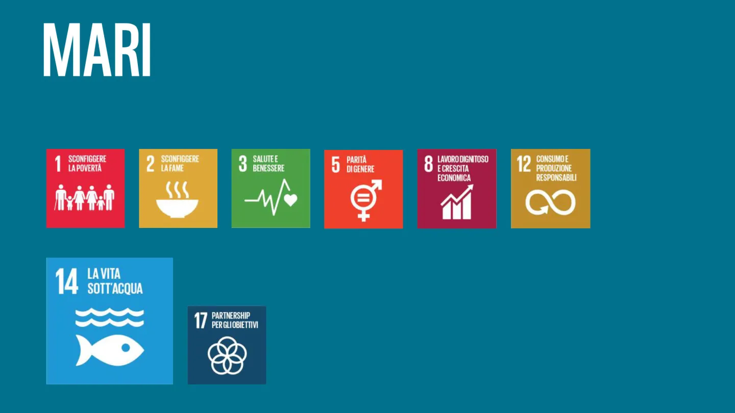 Wie die WWF-Ziele zu den SDGs der Uno beitragen