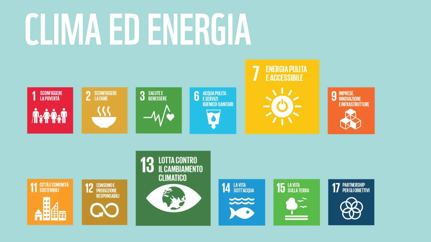 Wie die WWF-Ziele zu den SDGs der Uno beitragen