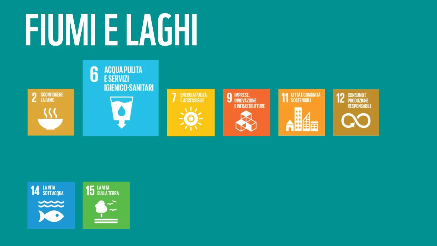 Wie die WWF-Ziele zu den SDGs der Uno beitragen