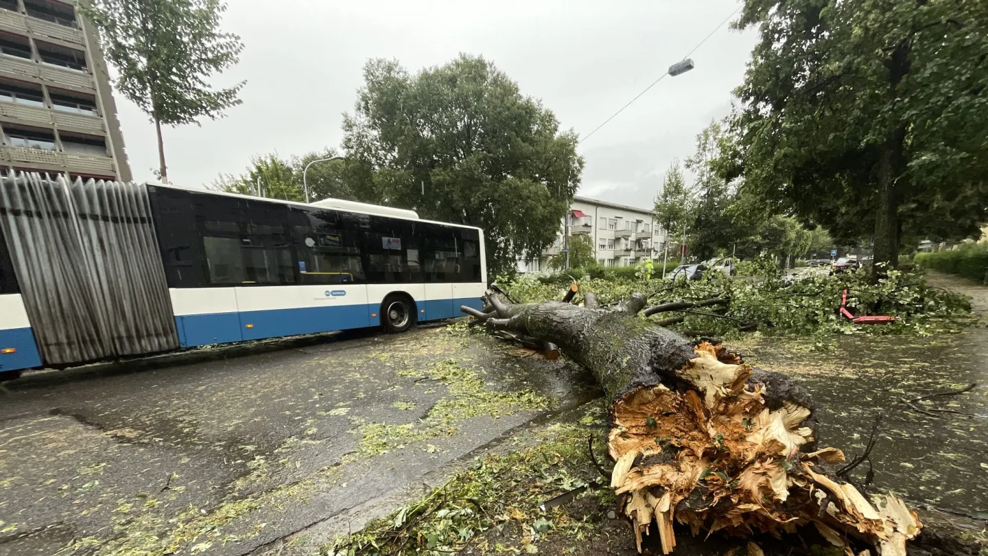 Sturmschäden in Zürich, Schweiz, 2021
