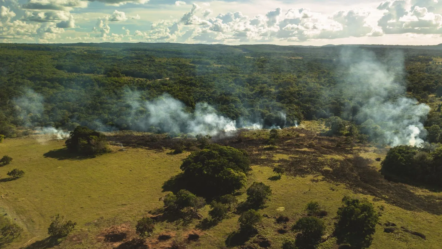 Brandrodung im Amazonas, Kolumbien