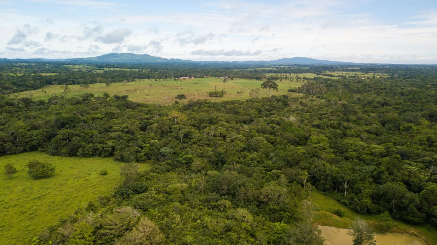 Luftaufnahme von Rinderfarm im Amazonas, Kolumbien