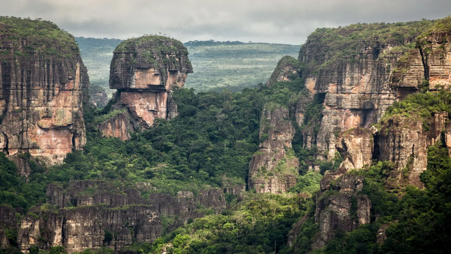 Tepui im Chiribiquete Nationalpark, Amazonas, Kolumbien