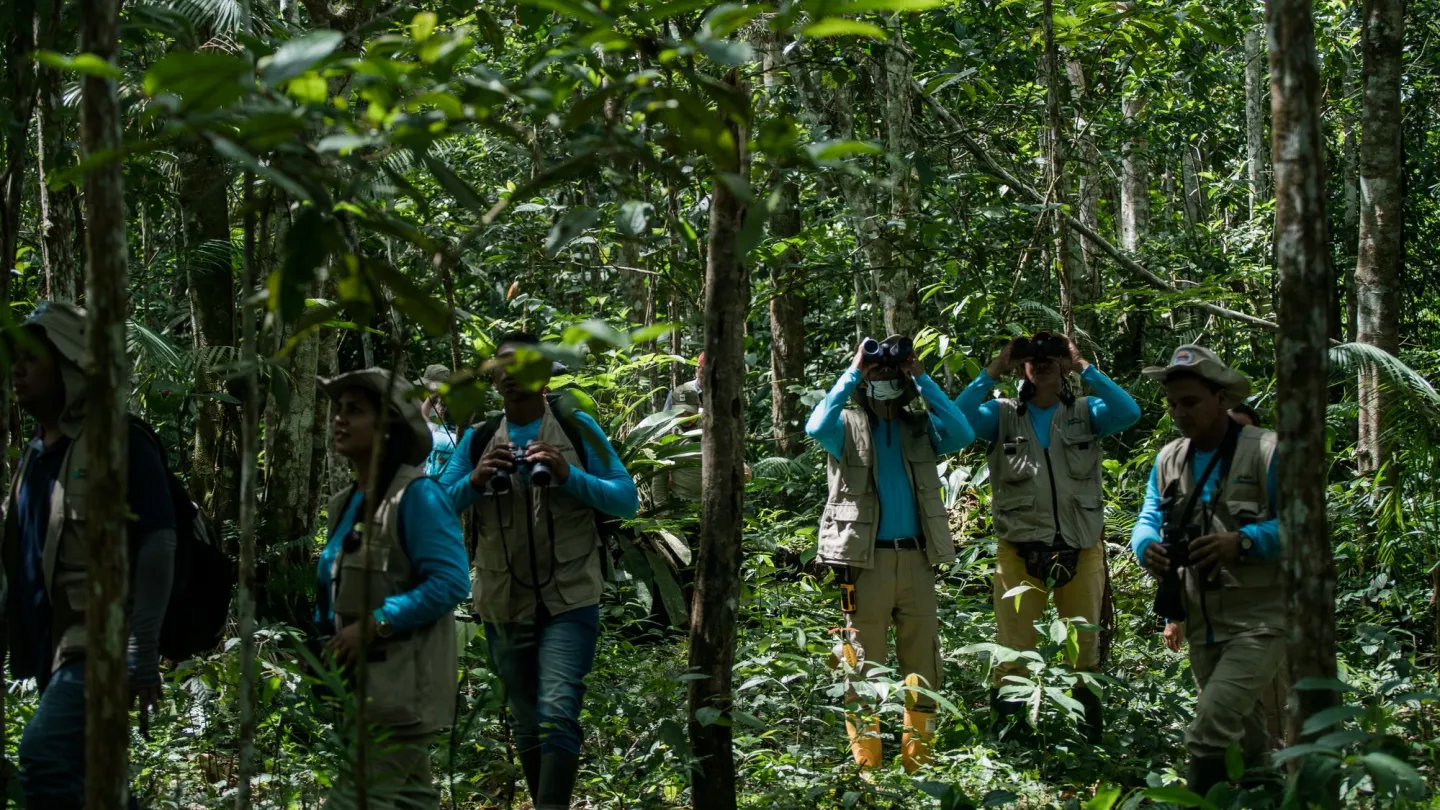 Eine Forschergruppe begutachtet den Zustand des Waldes im kolumbianischen Amazonas