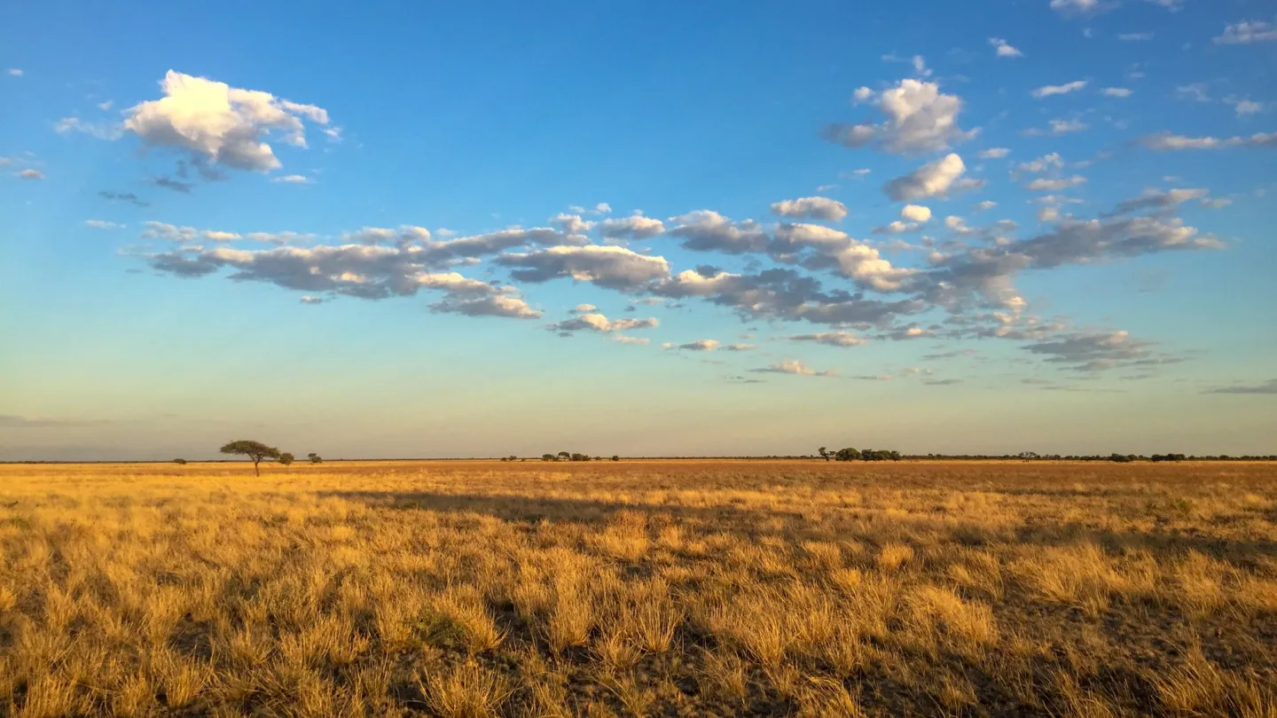Kalahari Region Kaza