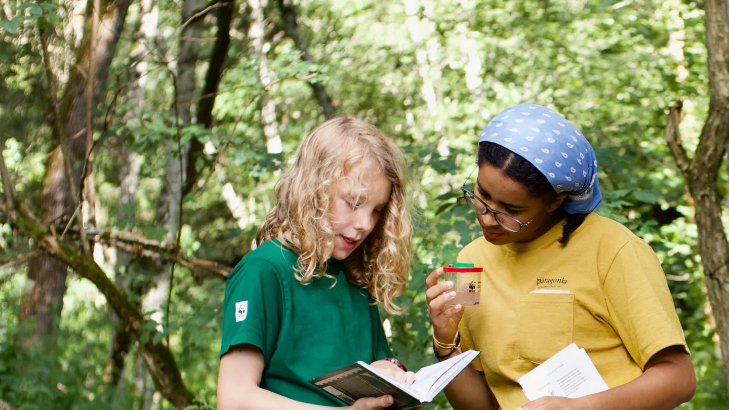 Eine Lagerleiterin erklärt, wie man ein Kleinlebewesen bestimmt.