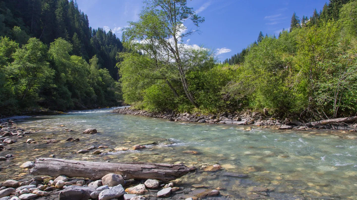 Fluss Glenner in Graubünden