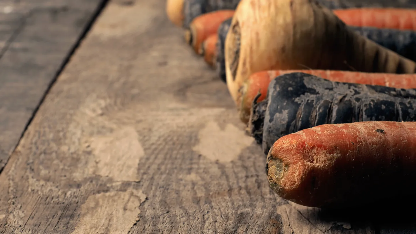 Karotten und Pastinaken liegen auf einem Holztisch