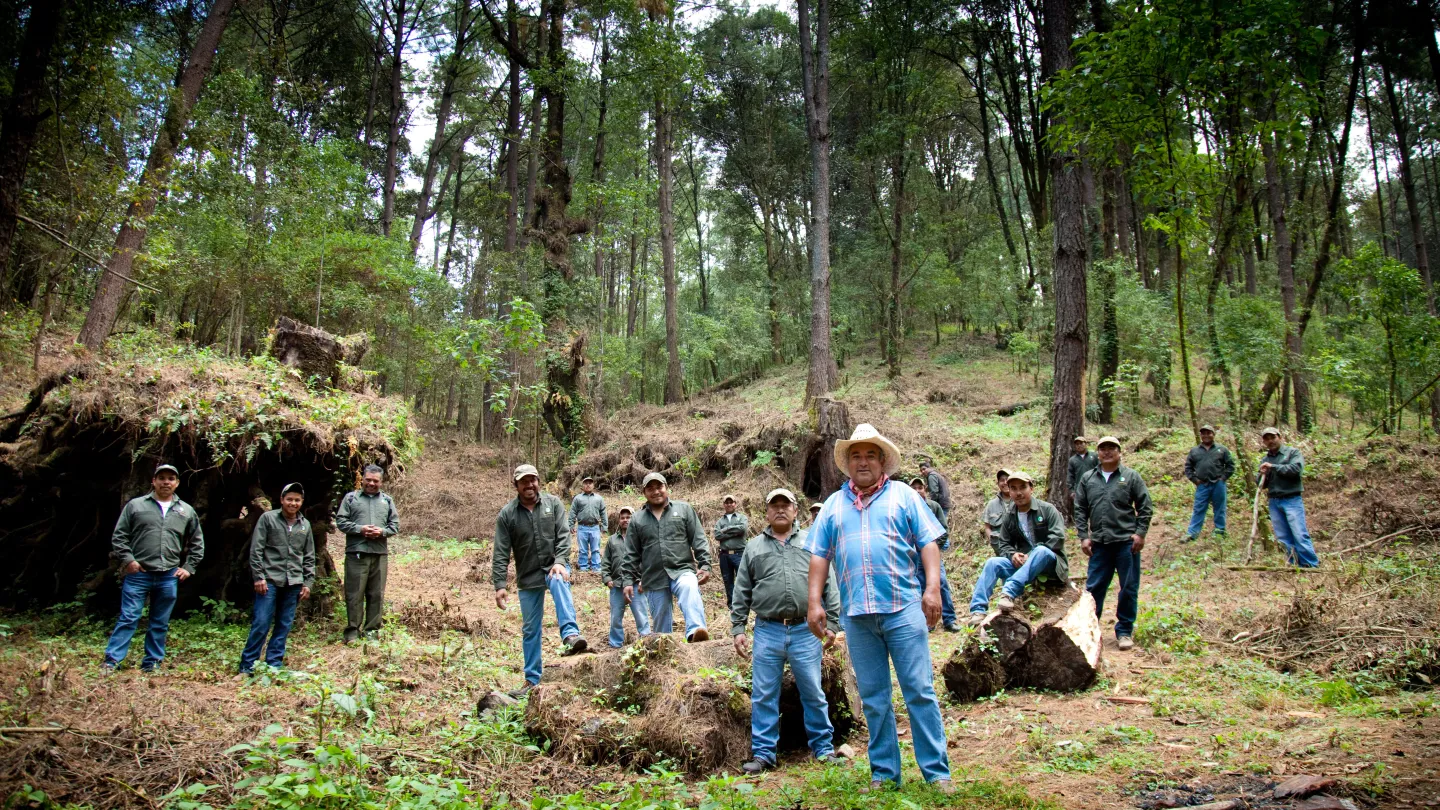 Schutzbrigade beschützt den Wald in Mexiko