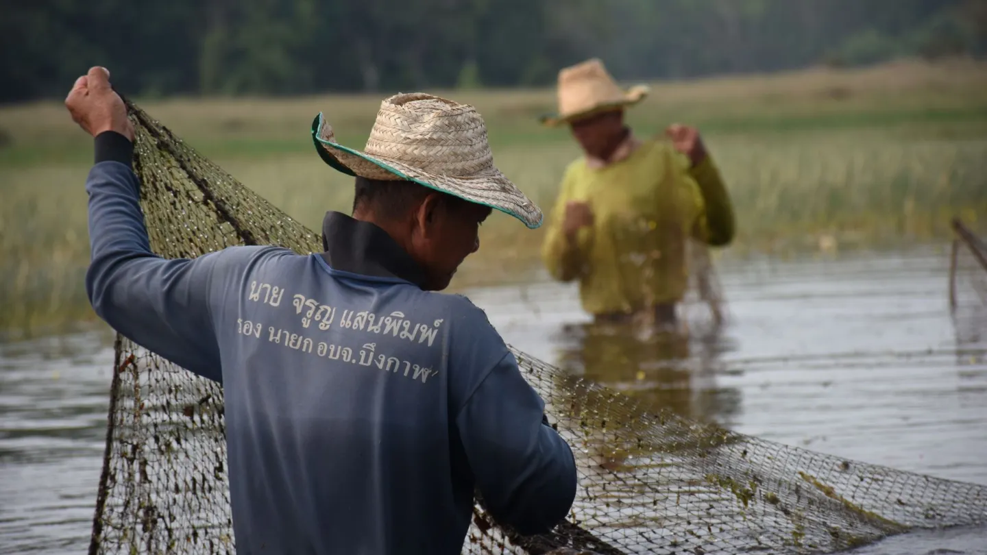 Fischer fischen in der Nähe einer Fischschutzzone (No-Take-Zone) in Bueng Khong Long.