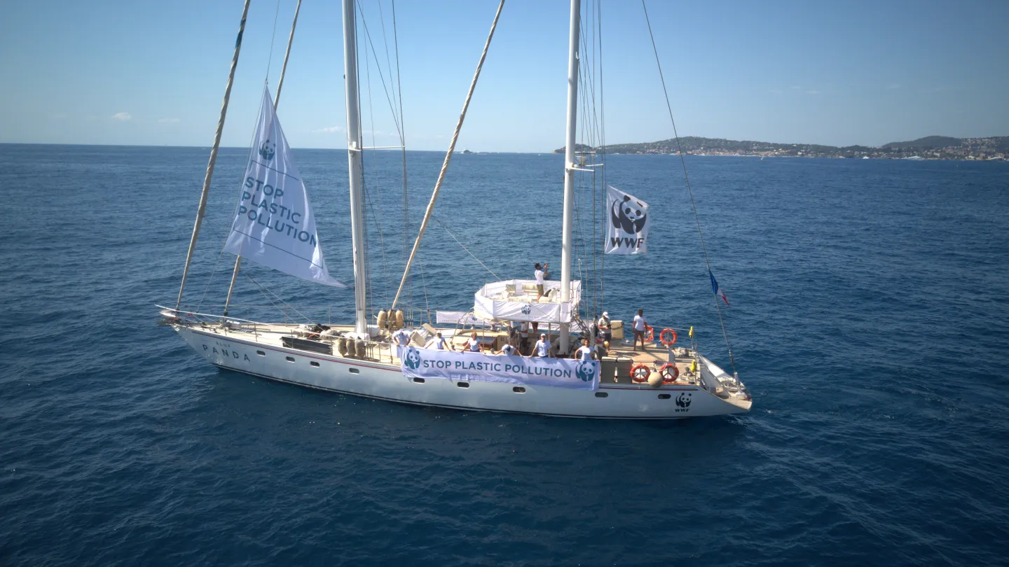 Blue Panda im Mittelmeer